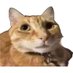 Fritz V. (@fritzv138776) Twitter profile photo