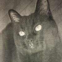 Brynna (@brynnachilds) 's Twitter Profile
