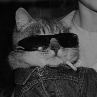  | NPC | I don't tweet & I hate everything, nothing to follow here | Tweets are personal | Retweets != Endorsements | ♊