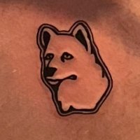 UConn Positive Vibes (@uconnvibes) 's Twitter Profile
