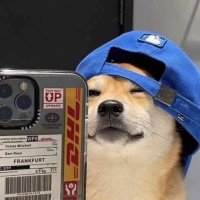CryptoBulliez.ᴬᴾᴱ 🦍 (@cryptobull3513) 's Twitter Profile