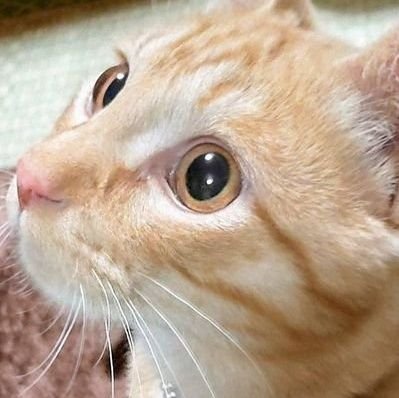 𝓐𝓴𝓲𝓸さんのプロフィール画像