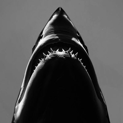 OxAwen's profile picture. 投机倒把 ｜近视金狗猎手｜只做分享不做投资建议｜ 喂鱼🐟｜早日自由｜10u战士 ｜永亏 #SOL｜#ETH ｜#BTC