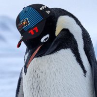Eglez (@eglez69) 's Twitter Profile