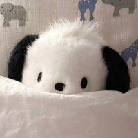 MAQI_56 *・゜゚・* (@maqi_56) 's Twitter Profile Photo MAQI_56 *・゜゚・* (@maqi_56) 's Twitter Profile Photo