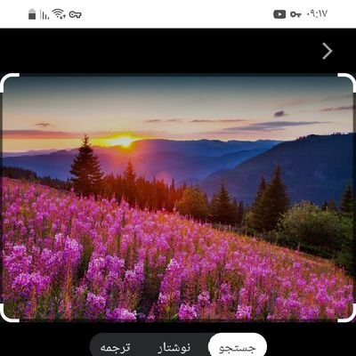 mohsenkhal33303's profile picture. 