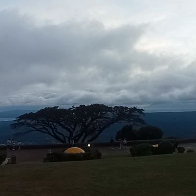 mwhaven's profile picture. 💜💚