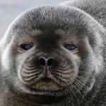 BigSamBlam (@bigsamblam1404) 's Twitter Profile