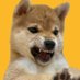 豆柴おこげ (@okoge_log) Twitter profile photo 豆柴おこげ (@okoge_log) Twitter profile photo