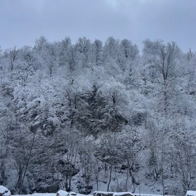 moosa_ebrahimi's profile picture. Nature lover