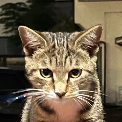 はかどるななしさんのプロフィール画像
