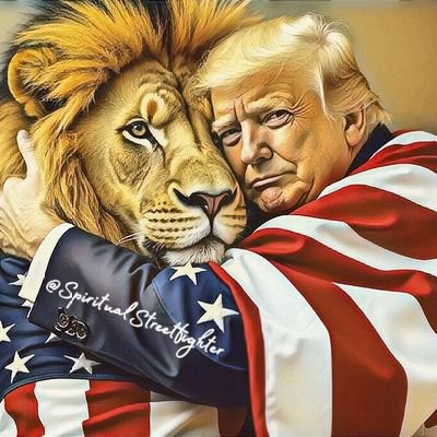 TimothyGale13's profile picture. 