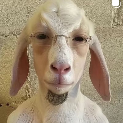 sheishiEvie's profile picture. 💌 https://t.co/2SmHQ8HImF