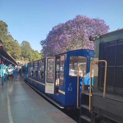 daniel_jos96388's profile picture. 