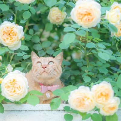 Hiro125953's profile picture. 