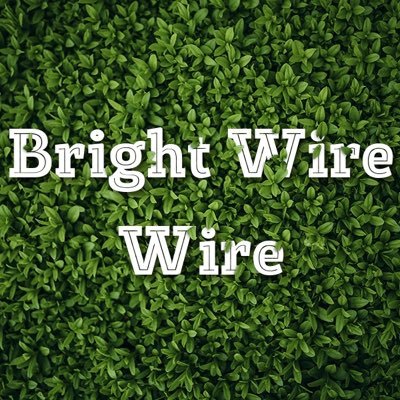 brightwirewire6's profile picture. Always Believe in what you pray for💯