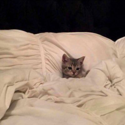 tbzxneoc's profile picture. TikTok⇩