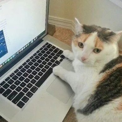 _ie25's profile picture. ولو ركبت الريح هرباً من رزقك لركب الرزق البرق ليلحقك