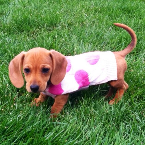 AshHolloman's profile picture. 