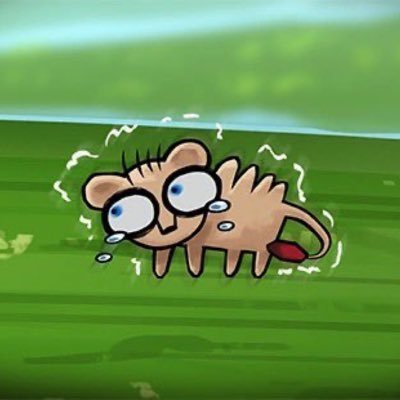 noanoa683979461's profile picture. 