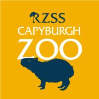 Edinburgh Zoo (@edinburghzoo) 's Twitter Profile Photo Edinburgh Zoo (@edinburghzoo) 's Twitter Profile Photo