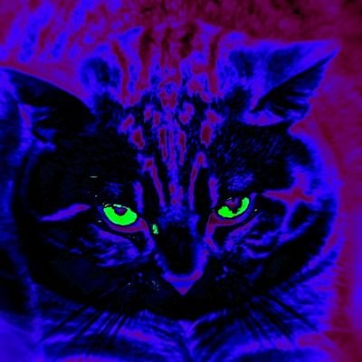 Ankas7632's profile picture. hitting the miss
missing the hit