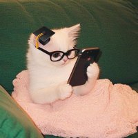 Ghala (@luna_ph2) 's Twitter Profile