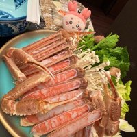 からめりぜ。 (@r0x0dkamelot) Twitter profile photo