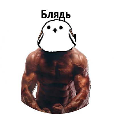 Acidanthera0530's profile picture. AK-12に魅力された愚かな人間 Сука Блядь!!