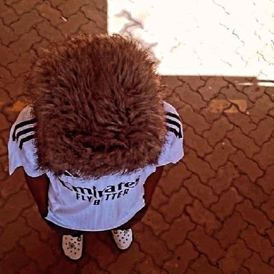 SylvesterJ72913's profile picture. 