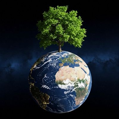 WORLDTREE (WLDTREE) is a decentralized token that aims to create a sustainable future by funding environmentally friendly projects around the world.