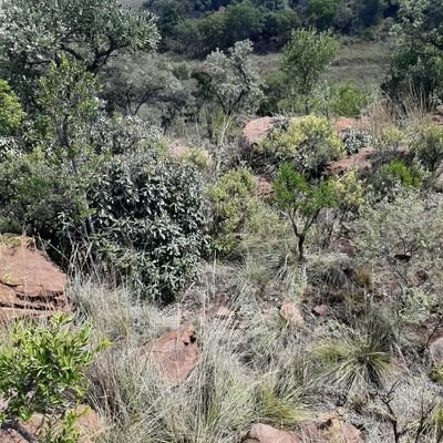 201183662Jes's profile picture. I have a biography out written by the most powerful Being in the world, it's called Bible, get it in stores