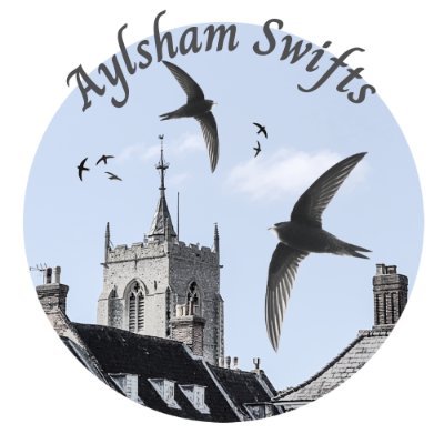 Locating swift nest sites. Giving guidance on nest boxes/bricks.
Let’s keep #Aylsham's #swifts coming back! Account managed by @TracyBrighten1 #SaveOurSwifts
