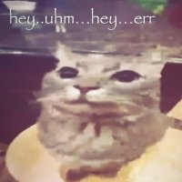 Boiman (@boiman13432914) 's Twitter Profile