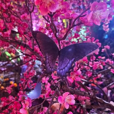 雫石さんのプロフィール画像