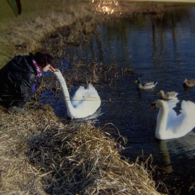 CarlaWensink's profile picture. 
