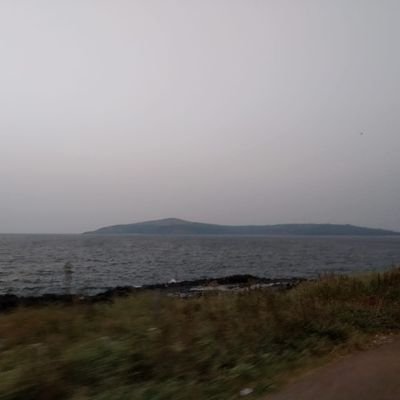 NoT_ThEGUY007's profile picture. broad minded guy. jovial simple guy. here for fun.
Country - India,
 Tennis freak #Djokovic
Liverpool fan #YNWA , WWE, Roman Reign