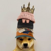 John (@0xjohn_crypt) 's Twitter Profile Photo John (@0xjohn_crypt) 's Twitter Profile Photo