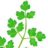 独身ニートアラサー☘️ 休職経験あり→退職/ゆるく婚活中/断酒🍺自律神経失調症/不眠症/睡眠障害/遅発性ジスキネジア/鬱病/不安障害/障害年金2級/障害者手帳/自立支援/毒親育ち/自死遺族/ラツーダ/デエビゴ/PMS/金属アレルギー/アレルギー体質