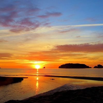 henri_villas's profile picture. 