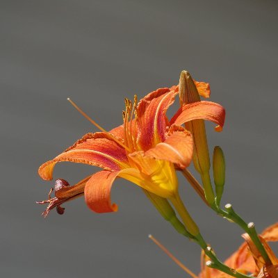 @Adam55955883102