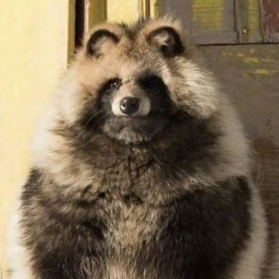 KurtBarlow15801's profile picture. Banner by Eugène Trigoulet - The Forerunner (1894)