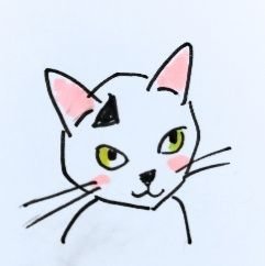 nkmr_nk's profile picture. みかん好き🍊