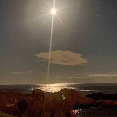 FSdx1UAyfg64014's profile picture. 絵を描いてます
ONE PIECE好きです、色々模索中