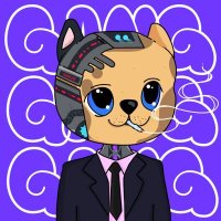 Web3 Divel (@divelweb34367) 's Twitter Profile