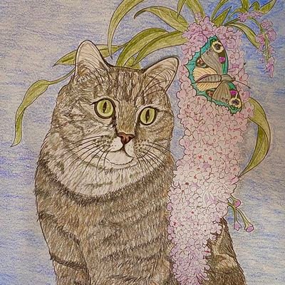 Scribbles 🌈 (5/1/1998-31/3/20) & Maggie (b'day 1/7/19 gotcha 5/5/20) proud wife of K'nea @thecatscastle #SuperSeniorCatsClub #CalicoCrew #Hedgewatch purrista