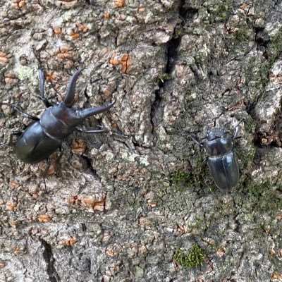 Mm99443260's profile picture. 小学生の子が2人。よろしくお願い致します🙇