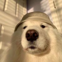 天 (@_cnkaom_) 's Twitter Profile