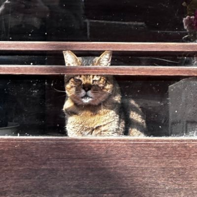 RexDnte's profile picture. “Overcome ones evil at the hand of accomplishing virtue”