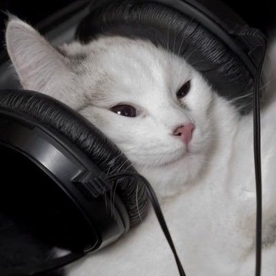 _kKirbyy_'s profile picture. ᐧ༚̮ᐧ ⇆ 13:04 ──── ◀ ❚❚ ▶ ──── 20:02 ↻ =͟͟͞ ♡̩͙꒱